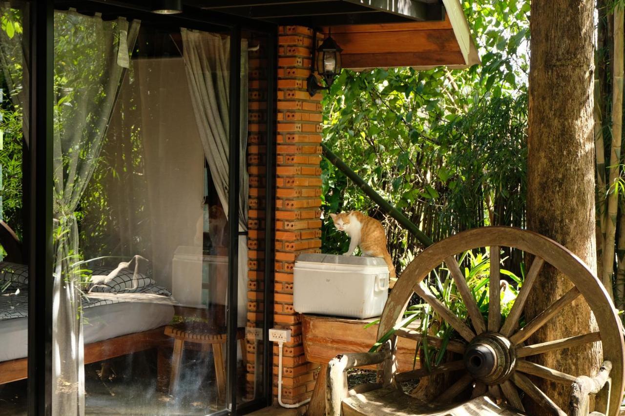 Ashi Guesthouse Chiangdao 치앙다오 외부 사진